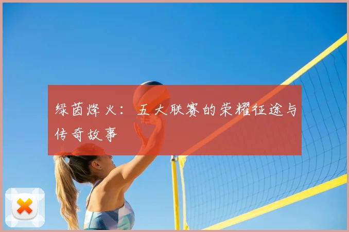 绿茵烽火：五大联赛的荣耀征途与传奇故事
